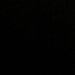 Meet your Posher, Bridget